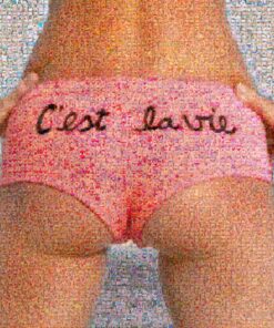 C'est la vie - Joël Moens de Hase