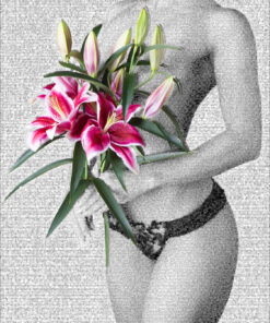 Lily - Joël Moens de Hase