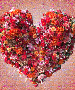 My Valentine - Joël Moens de Hase