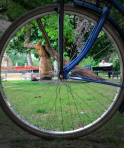 'Amsterdam through wheels' #3