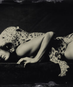 Deaf Leopard - Eric Bruinewoud