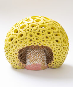 Yellow Mushroom - Kyoko Suzuki