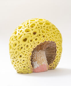 Alternative view of Yellow Mushroom - Kyoko Suzuki