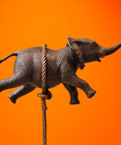 Alternative view of Flying elephant on long rope - Gillie and Marc