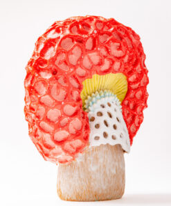 Alternative view of Red Mushroom - Kyoko Suzuki