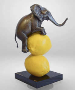 Elephants really loves lemons - Gillie and Marc