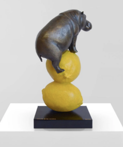 Alternative view of Hippo Loves Lemons - Gillie and Marc