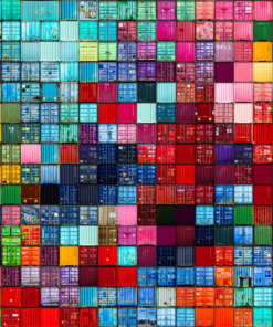 Urban Bloom - Didier Engels