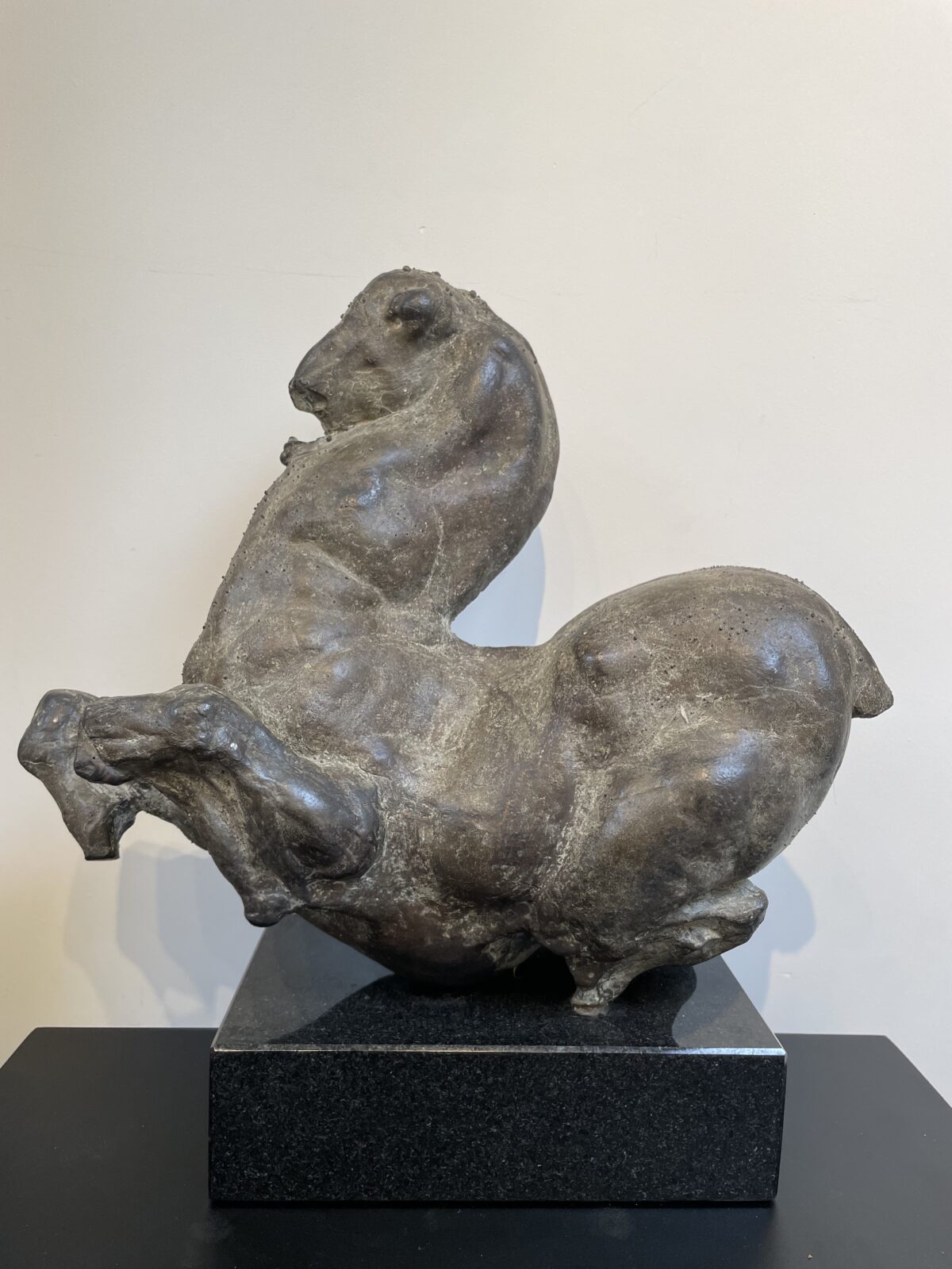 Paarden Torso - Arthur Spronken
