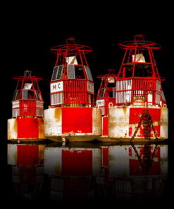 Retired Sentries - Didier Engels